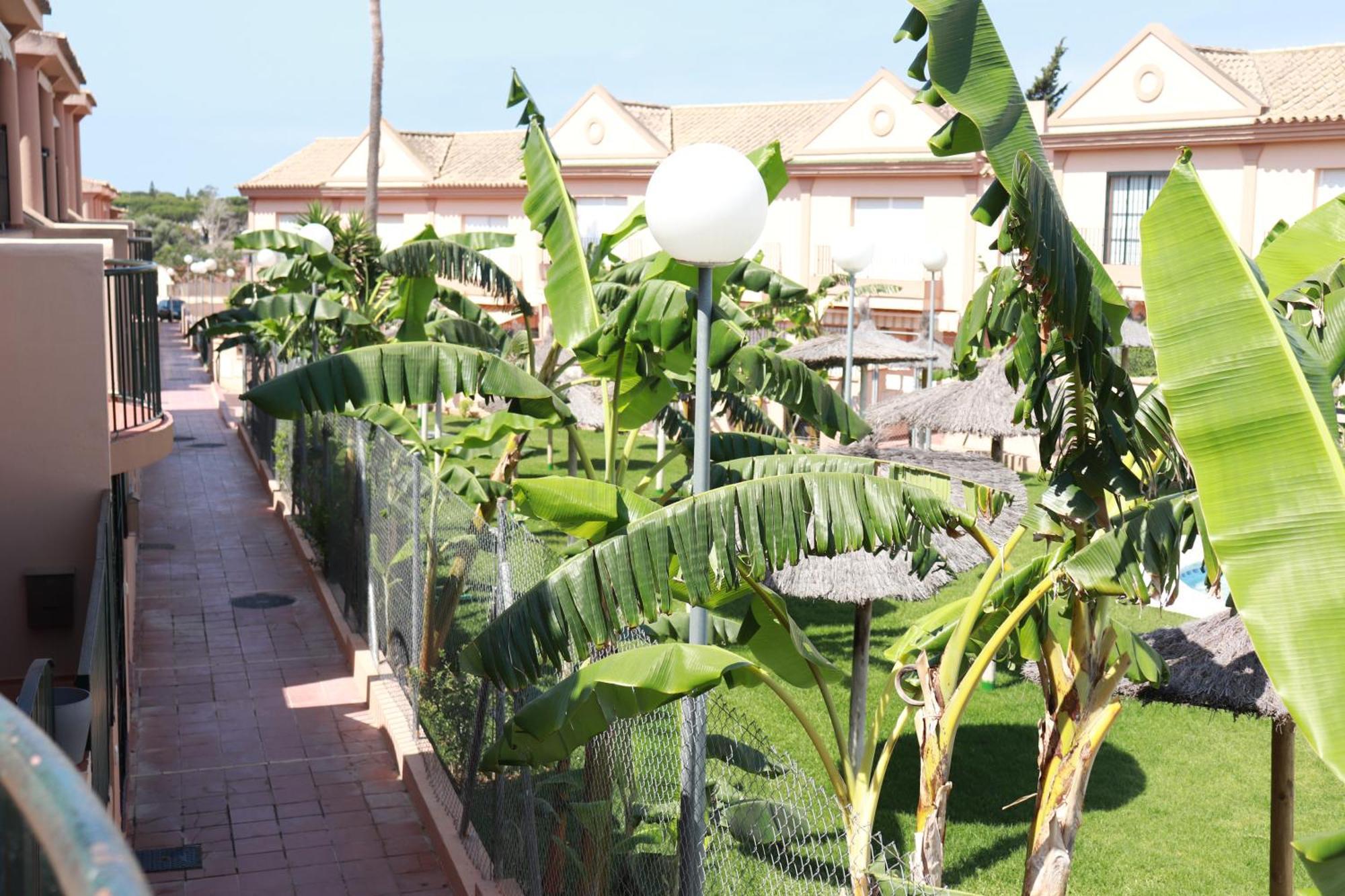 Playa La Barrosa, Alojamientoslola Chiclana de la Frontera Eksteriør billede